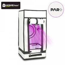 HOMEBOX AMBIENT q30 NÖVÉNY SÁTOR